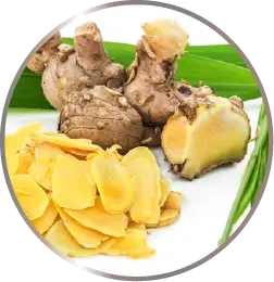 ไพล